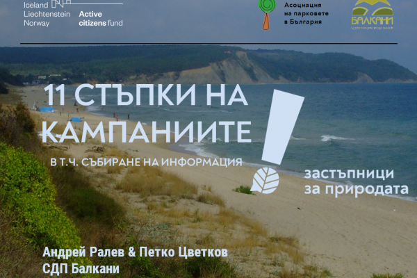 Граждански кампании в 11 стъпки